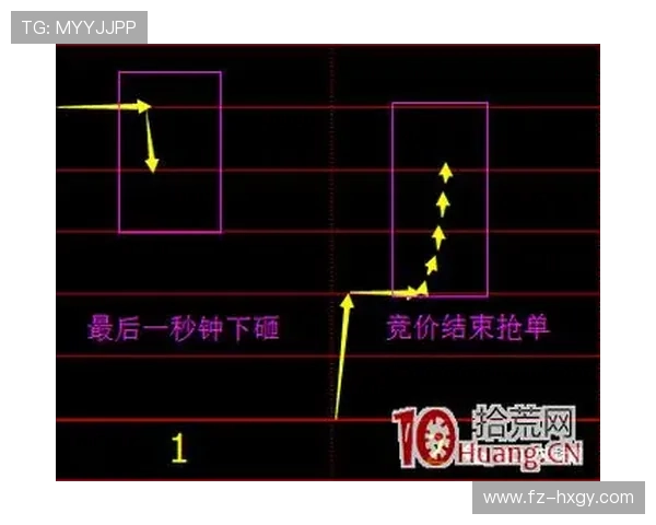 南京羽毛球队战术分析与发展策略的深度探讨 南京羽毛球队战术分析与发展策略的深度探讨